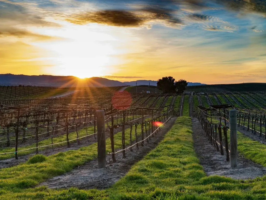 Paso Robles – A Longer Wine Weekend