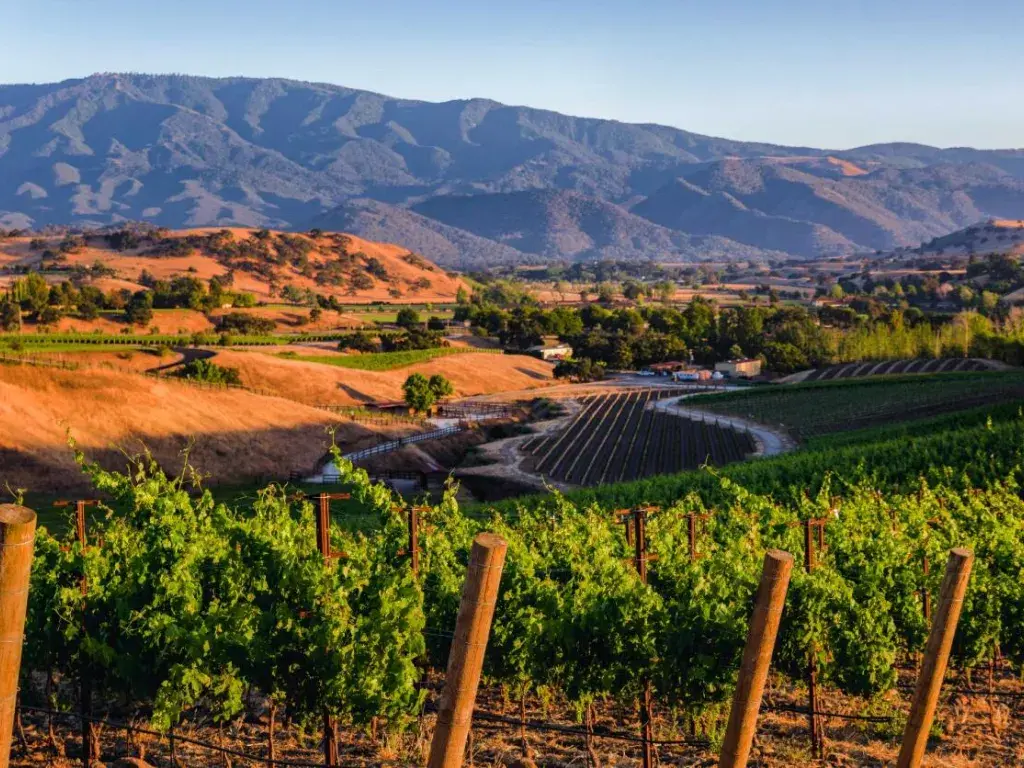 Santa Ynez Valley – Cowboy Country Meets Wine
