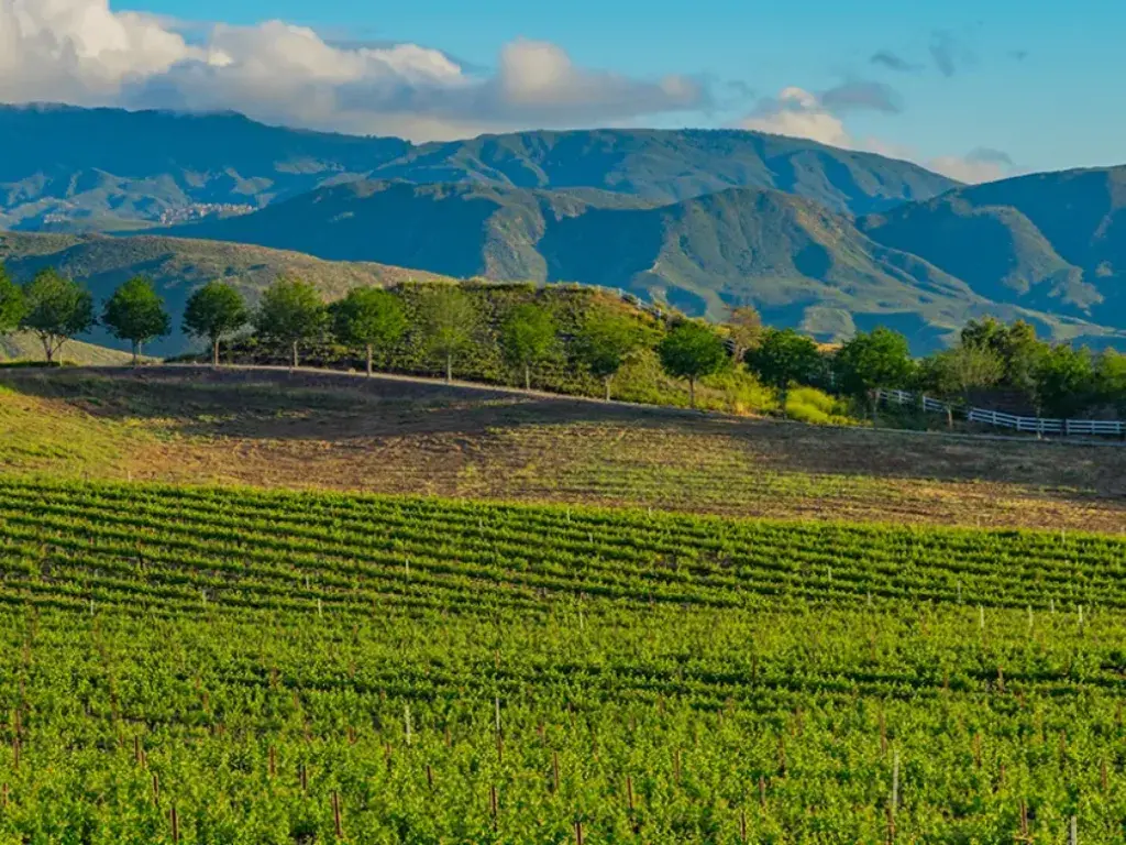 Temecula Valley – Wine Country Charm