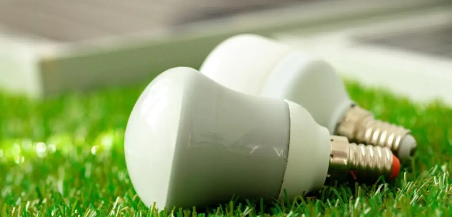 energy efficient light bulbs