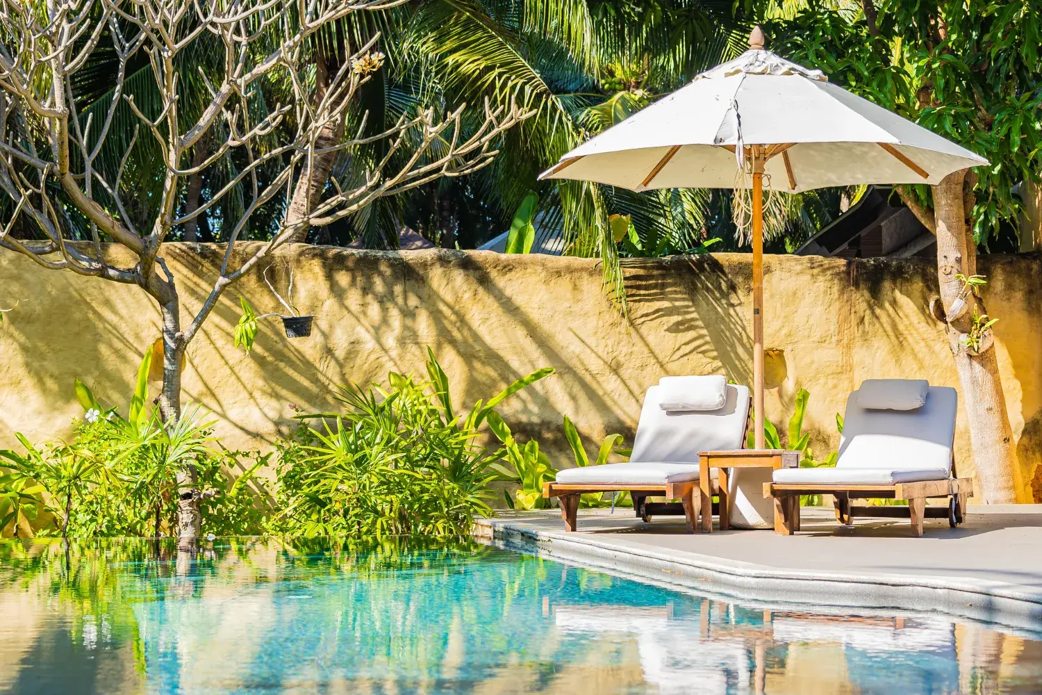 Designing an Outdoor Oasis - Patio and Garden Ideas - blog cover image