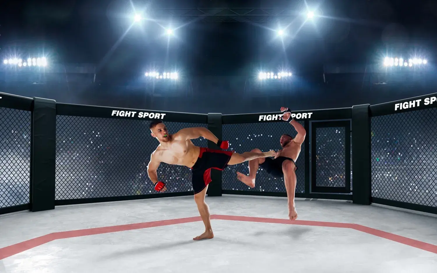 mixed martial arts (mma) fighters professional fighting in a ring