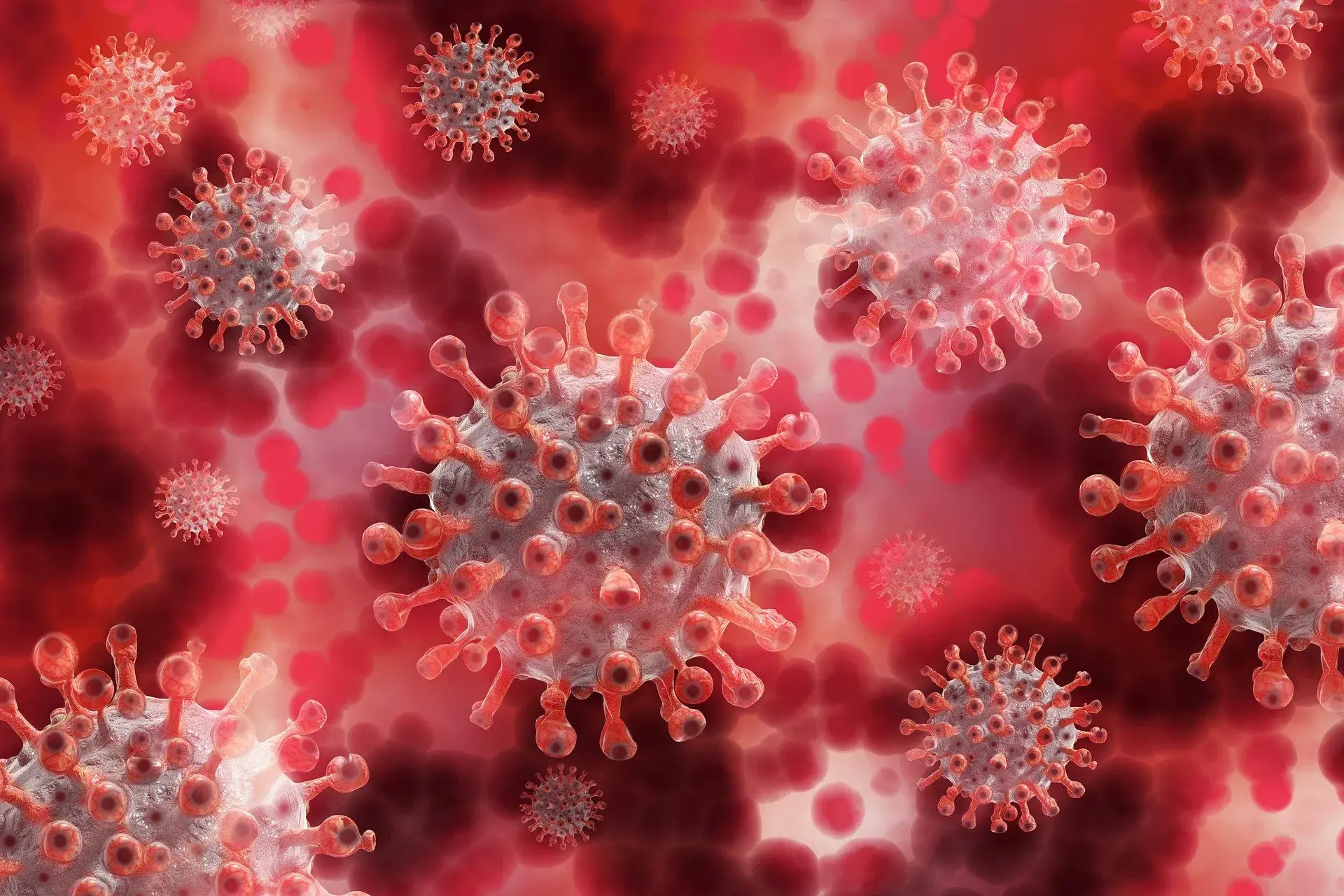 Human Metapneumovirus HMPV