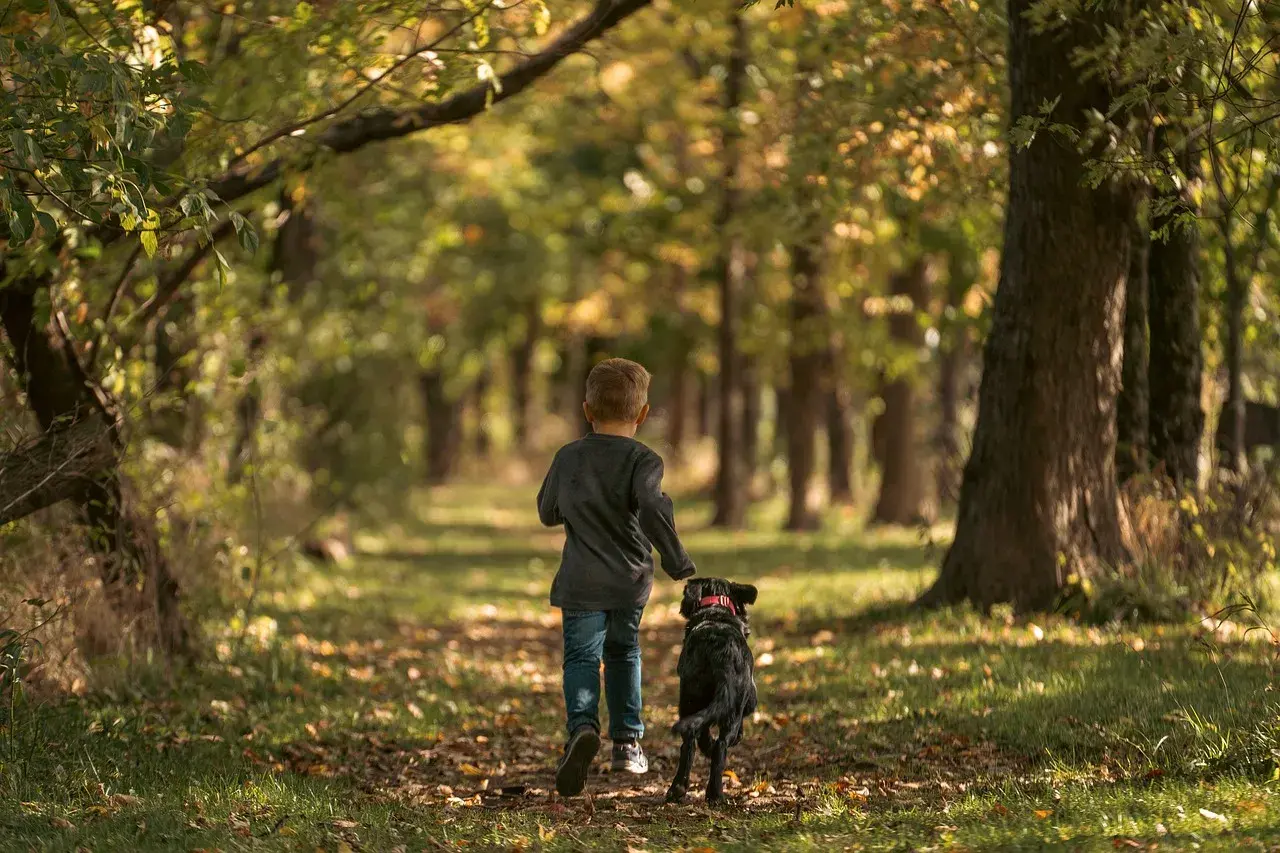 puppy walking with a little guy