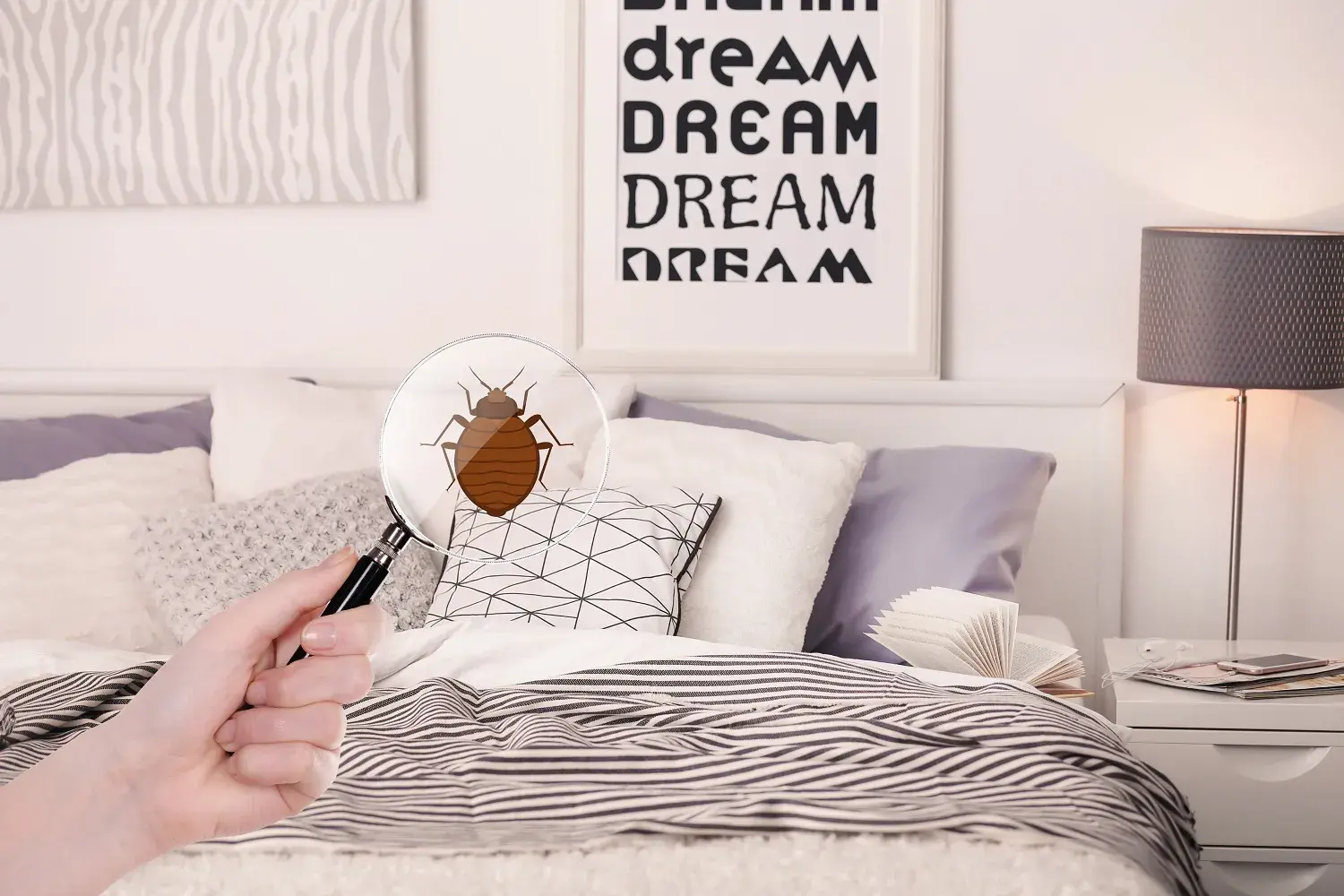 bed bugs