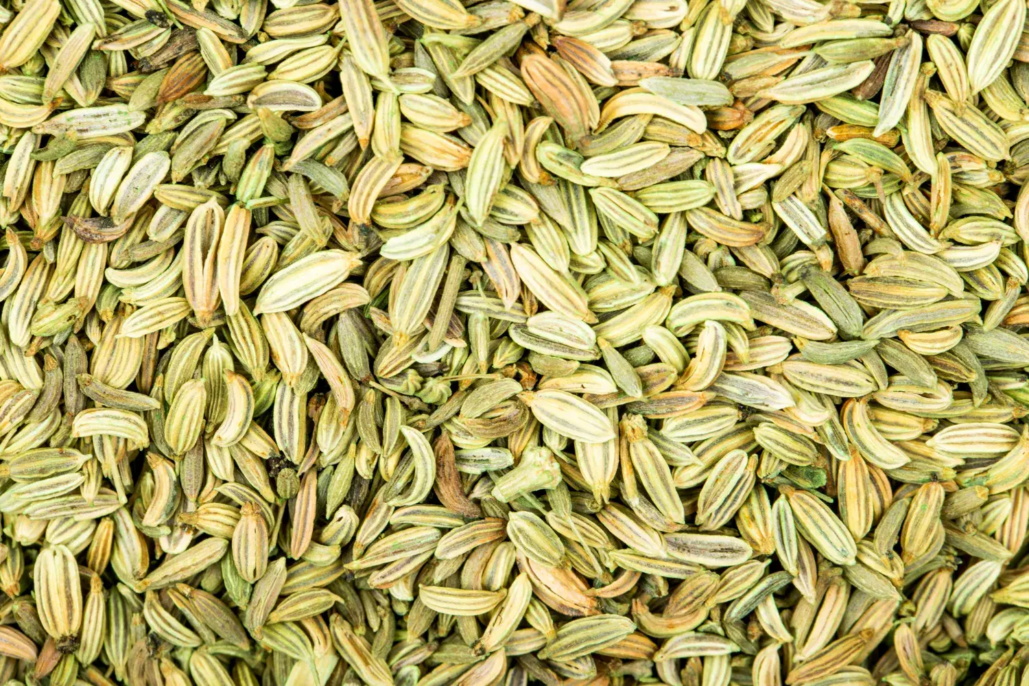 fennel seeds